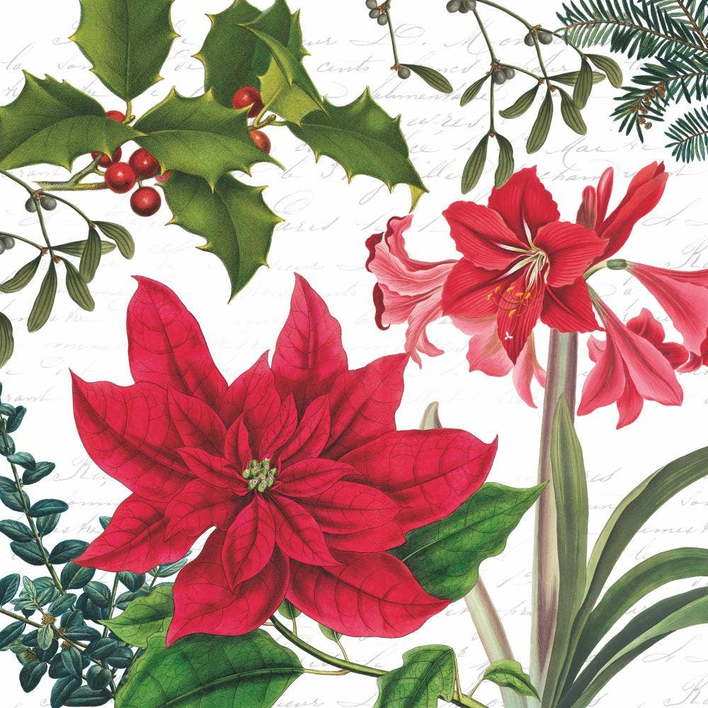 Christmas Plants Cocktail Napkins – 20 Count