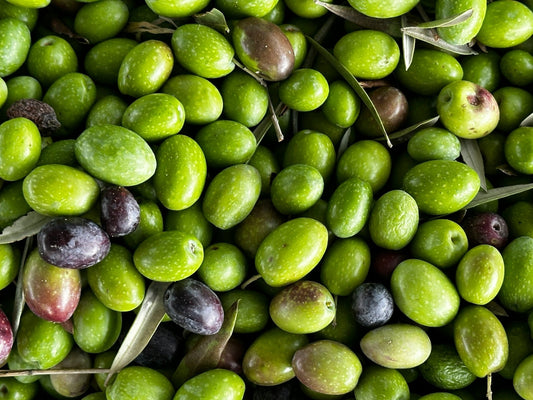 Decoding Extra Virgin Olive Oil - Olive Ovation