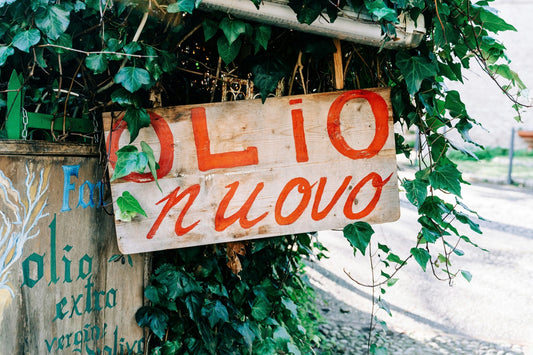 What Is Olio Nuovo? The Freshest Expression of Olive Oil - Olive Ovation