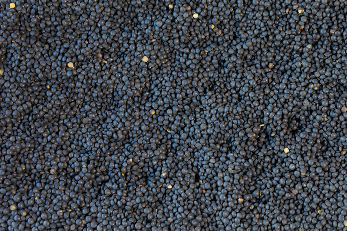 Rancho Gordo Black Caviar Lentils