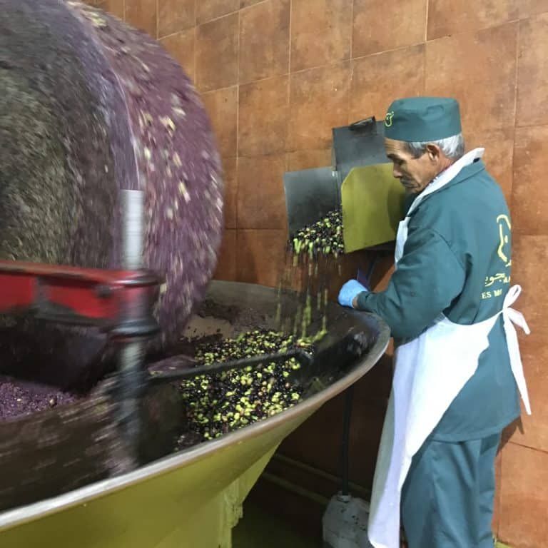 Mahjoub Organic EVOO - Olive Ovation