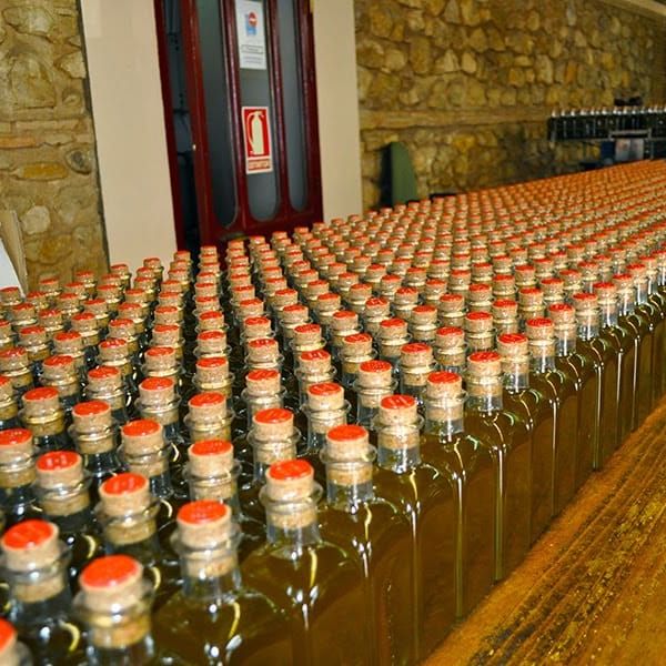 Núñez de Prado Flor de Aceite Organic Extra Virgin Olive Oil - Olive Ovation