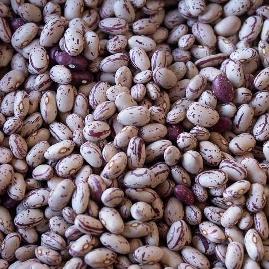 Rancho Gordo Cranberry Bean - OO Pasta Beans and Grains - Olive Ovation