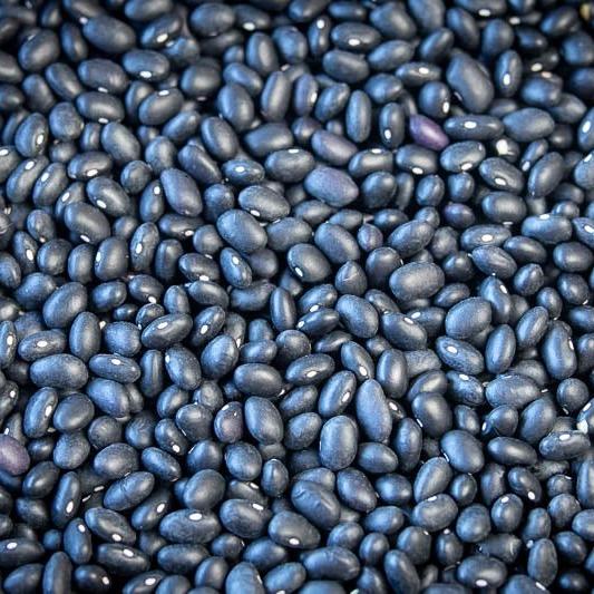 Rancho Gordo Midnight Black - OO Pasta Beans and Grains - Olive Ovation