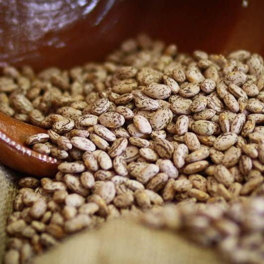 Rancho Gordo Pinto Bean - OO Pasta Beans and Grains - Olive Ovation