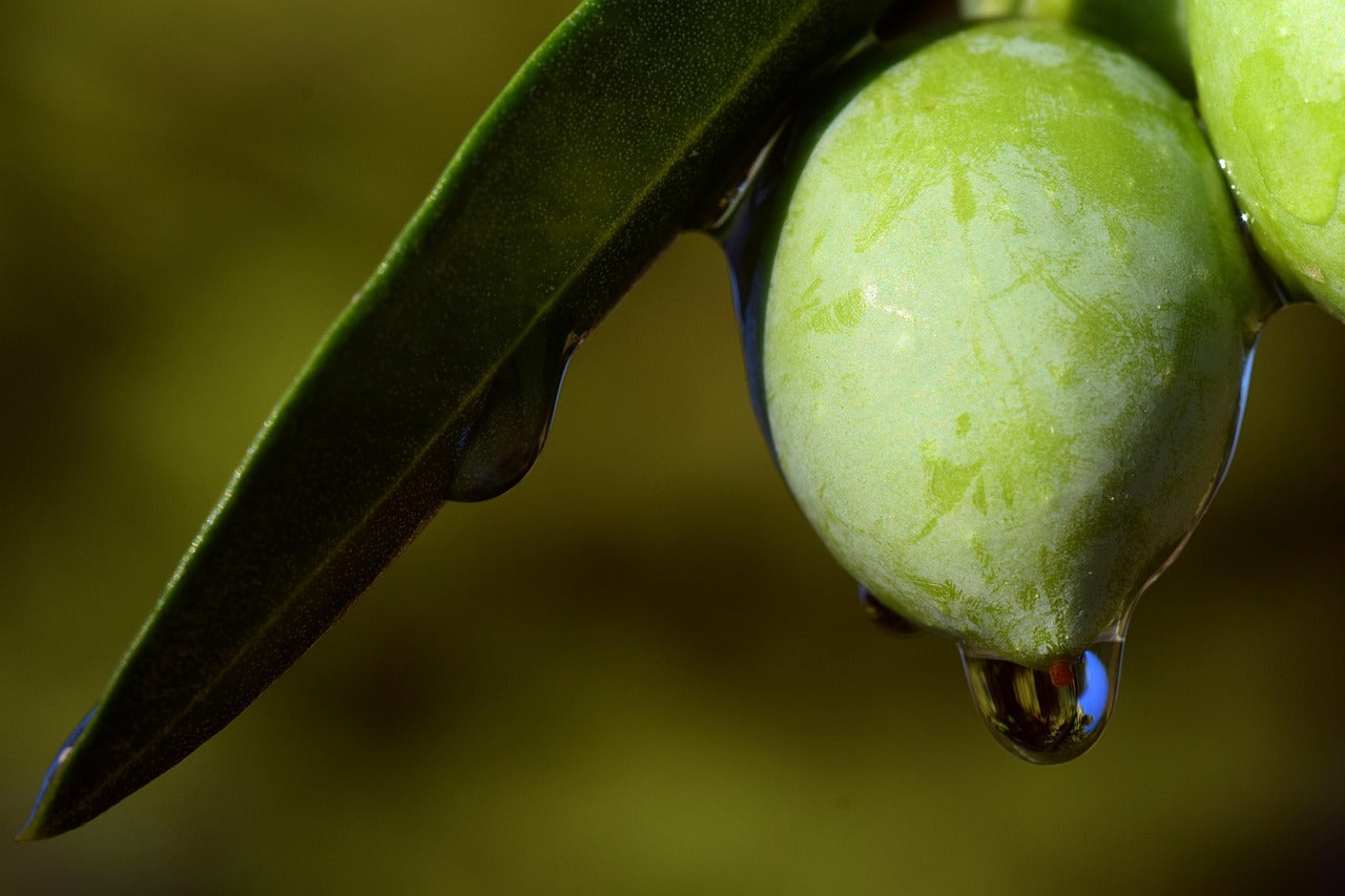 Close-up of a green olive with water droplets on a blurred background