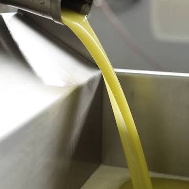 Zuccardi Organic EVOO - Olive Ovation
